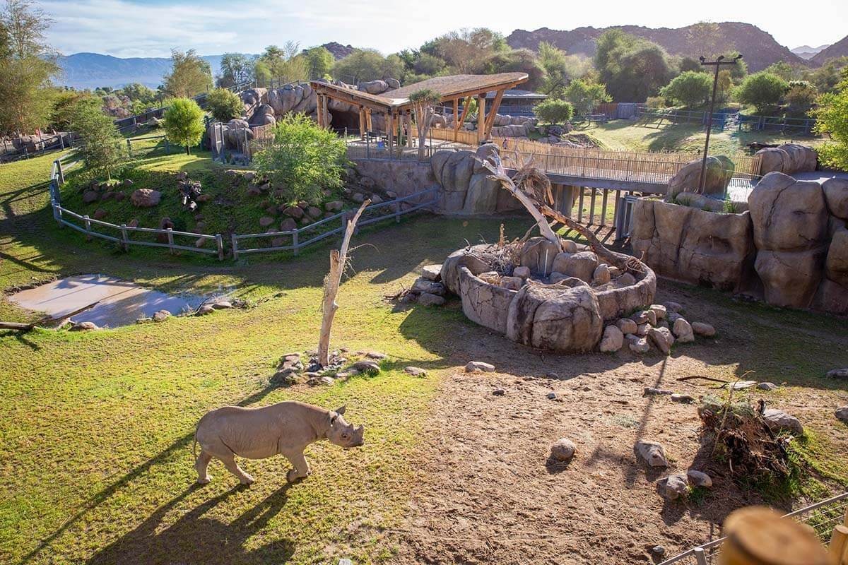 Living desert rhinos from the original Plan the Perfect Palm Springs Christmas guide