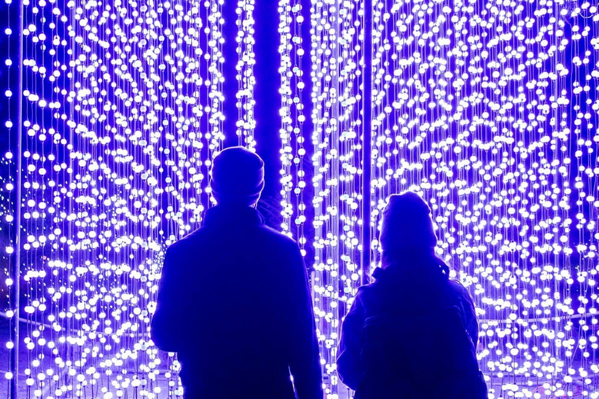 Wildlights palm springs from the original Plan the Perfect Palm Springs Christmas guide