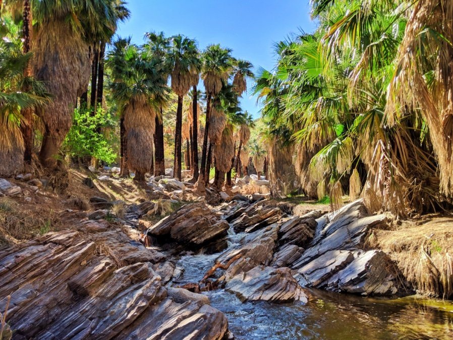 Indian canyons from the original Plan the Perfect Palm Springs Thanksgiving guide